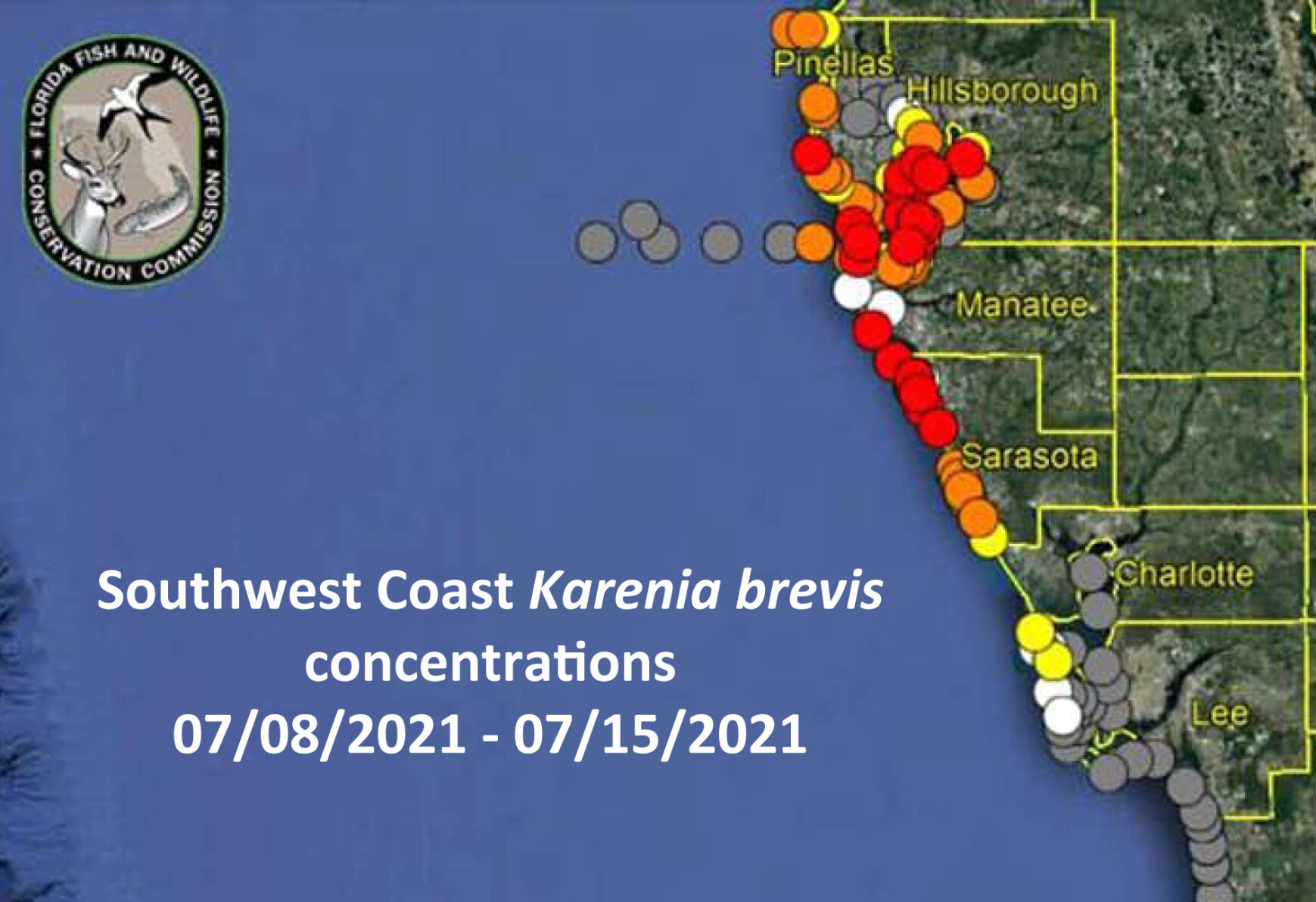Red tide levels remain high in around Pinellas County